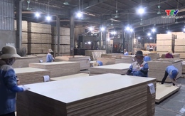 Hỗ trợ doanh nghiệp, hộ kinh doanh tận dụng FTA