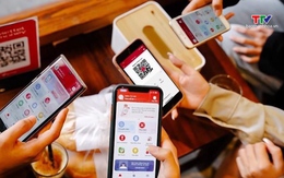Hai mã, số viễn thông được đưa ra đấu giá khởi điểm từ 250 triệu đồng