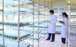 Hỗ trợ phát triển công nghệ cao, công nghệ chiến lược
