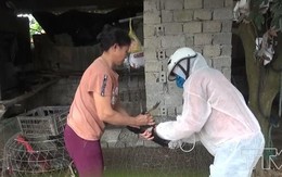 Huyện Tĩnh Gia triển khai các biện pháp cấp bách chống dịch cúm A/H5N6