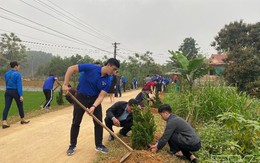 Đoàn viên Đài PT-TH Thanh Hóa ra quân trồng cây xanh tại huyện Ngọc Lặc