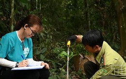 Trao tặng 5000 cây xanh cho vườn Quốc gia Bến En