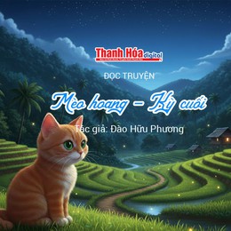 Đọc truyện: “Mèo hoang - Kỳ cuối” | Đào Hữu Phương 