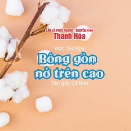 Truyện ngắn “Bông gòn nở trên cao” | Lữ Mai | TTV Podcast