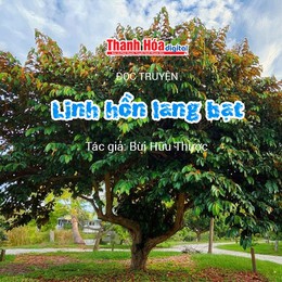 Đọc truyện: “Linh hồn lang bạt” | Bùi Hữu Thược