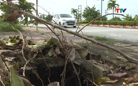 Cần có giải pháp khắc phục tình trạng mất nắp hố ga, hố thu nước mưa trên tuyến đường Trịnh Kiểm, thành phố Thanh Hoá