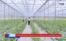 Phát triển kinh tế: Nông nghiệp Thanh Hoá nỗ lực thực hiện mục tiêu tăng trưởng