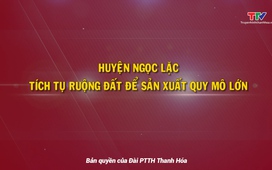 Đưa Nghị quyết vào cuộc sống: Huyện Ngọc Lặc tích tụ ruộng đất để sản xuất quy mô lớn