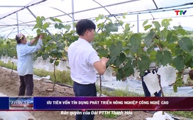 Bản tin thời sự trưa 30/5/023