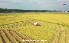 Phim khoa giáo: Thanh Hóa phát triển nông nghiệp hàng hóa lớn, công nghệ cao