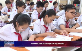 Bản tin Thời sự 14h ngày 12/10/2024