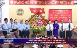 Bản tin Thời sự tối ngày 14/10/2024