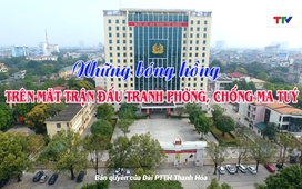 An ninh Thanh Hóa ngày 23/10/2024