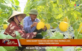 Thanh Hóa ngày mới 06/10/2024