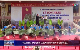 Bản tin Thời sự trưa ngày 12/11/2024