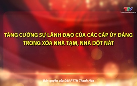 Đảng trong cuộc sống ngày 12/11/2024