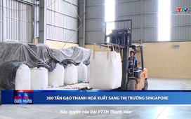 Bản tin Thời sự cuối ngày 19/11/2024