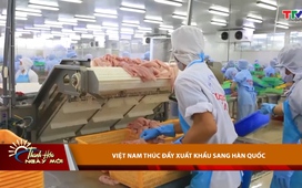 Bản tin Thời sự Thanh Hóa ngày mới 22/11/2024