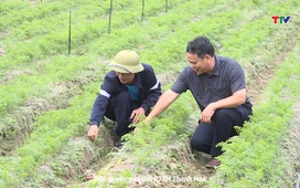 Bản tin Nông nghiệp nông thôn ngày 23/11/2024