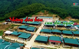 Đảng trong cuộc sống 26/11/2024