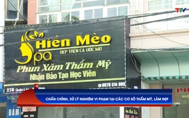 Bản tin Sức khoẻ 4/11/2024