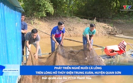 Phát triển kinh tế 4/11/2024