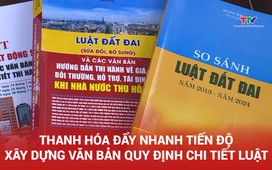 Thanh Hóa đẩy nhanh tiến độ xây dựng văn bản quy định chi tiết Luật 