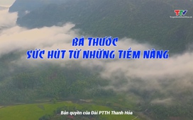 Văn hóa - Nghệ thuật ngày 11/12/2024