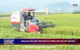 Bản tin Thời sự 14h ngày 15/12/2024