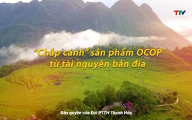 Đất và người Xứ Thanh: “Chắp cánh” sản phẩm OCOP từ tài nguyên bản địa