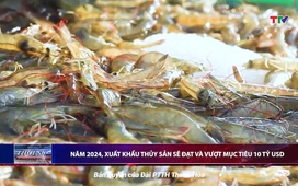 Bản tin Thời sự 14h ngày 3/12/2024