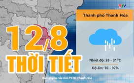 Dự báo thời tiết ngày 12/8/2024