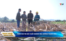 Bản tin Doanh nghiêp - Doanh nhân ngày 01/01/2025