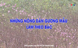 Học tập và làm theo tư tưởng, đạo đức Hồ Chí Minh ngày 11/01/2025