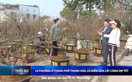 Bản tin Thời sự trưa ngày 12/01/2025