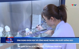 Bản tin Thời sự cuối ngày 10/10/2025