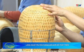 Bản tin Nông nghiệp nông thôn ngày 11/10/2025