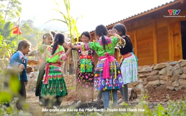 Thanh Hóa - Góc nhìn từ trên cao: Mái trường giữa ngàn xanh