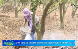 Bản tin Nông nghiệp nông thôn ngày 25/10/2025