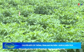 Bản tin Nông nghiệp – Nông thôn 4/10/2025