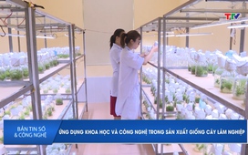 Bản tin Số và công nghệ ngày 3/10/2025