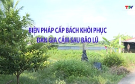 Khuyến nông 7/10/2025