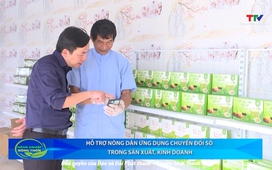 Bản tin Nông nghiệp nông thôn ngày 8/10/2025