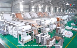 Bản tin Thời sự 16h ngày 8/10/2025