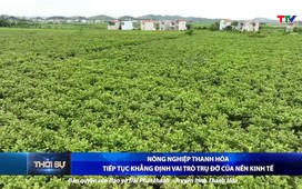 Bản tin Thời sự trưa 8/10/2025