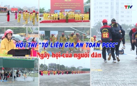 An ninh Thanh Hóa ngày 12/11/2025