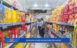 Nhà nước và Pháp luật 13/11/2025