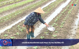 Bản tin Tài chính - Thị trường ngày 14/11/2025