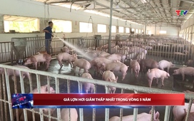 Bản tin Thời sự 18h ngày 15/11/2025