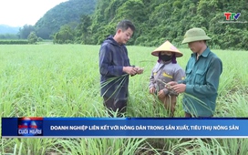 Bản tin Thời sự cuối ngày 16/11/2025